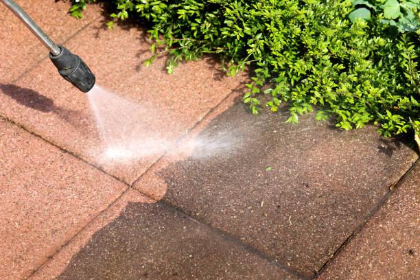 Best Exterior Home Cleaning  in Marianna, FL